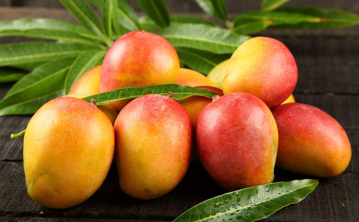 O Poder Curativo da Manga: Mais do que Apenas um Sabor Exótico