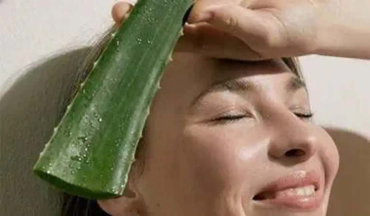 Aloe Vera: O Poder da Planta que Cura e Regenera a Pele