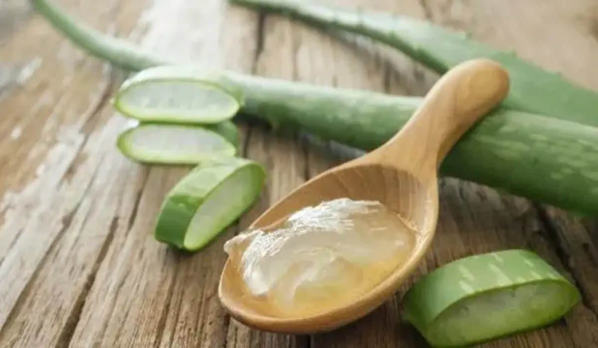 Babosa para a Pele e Cabelo