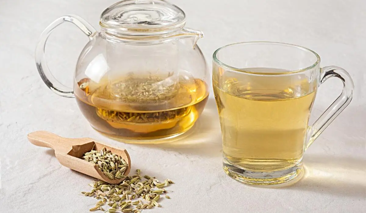 Benefícios Da Erva-doce