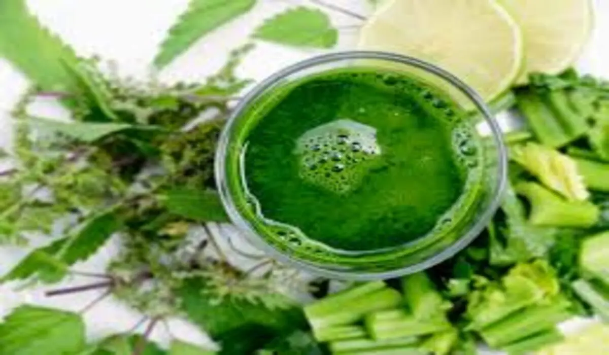 Smoothie Verde Energizante