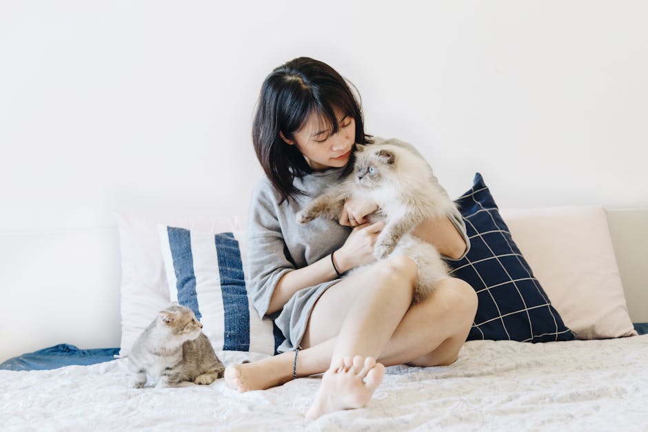 A woman relaxing on a bed with two cats in a cozy indoor setting.