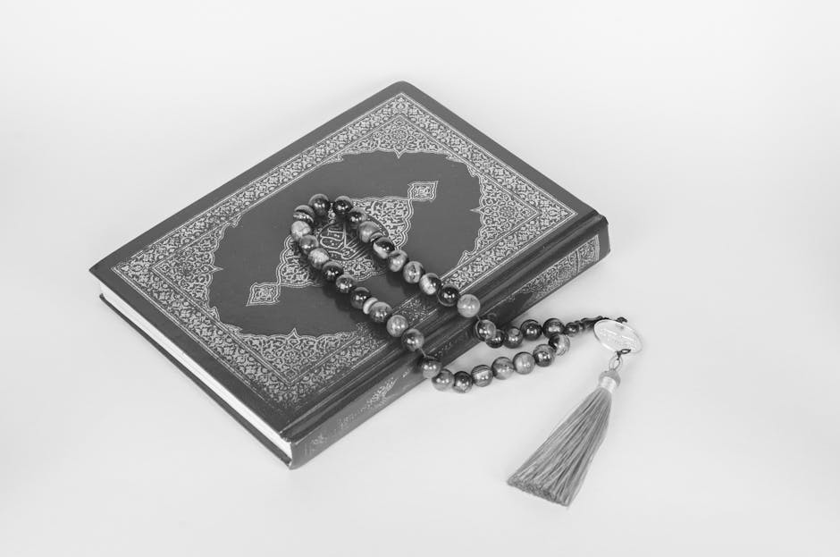 Free stock photo of arab, arabian, arabic